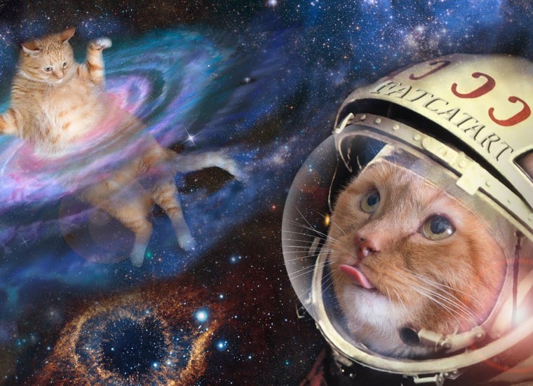 Котэ космонавт