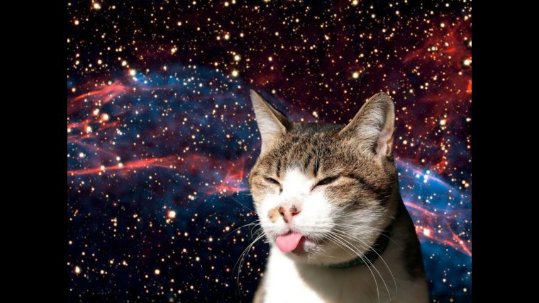 Космический кот