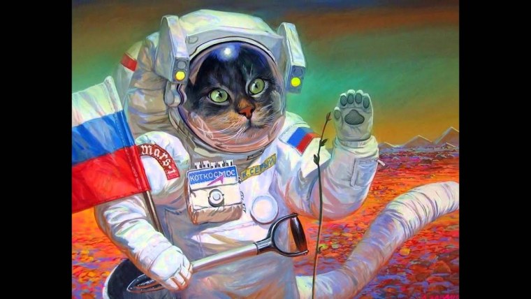 Художник Александр Завалий коты