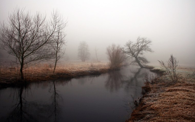 Серая осень