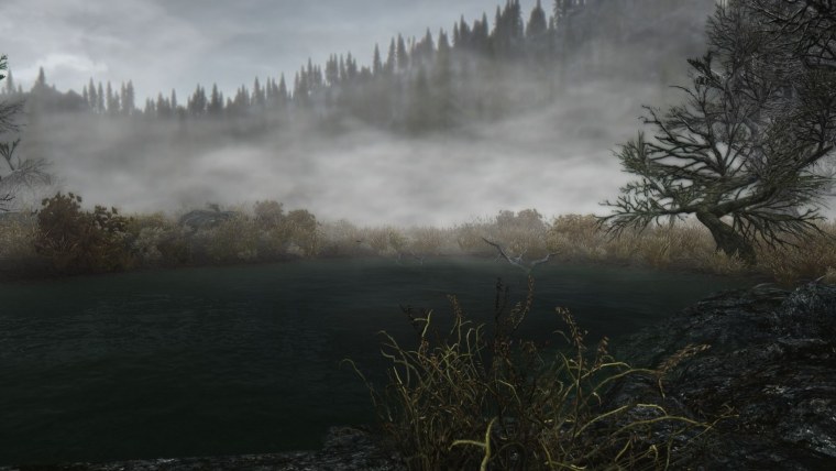 Dark Souls 2 туманный лес