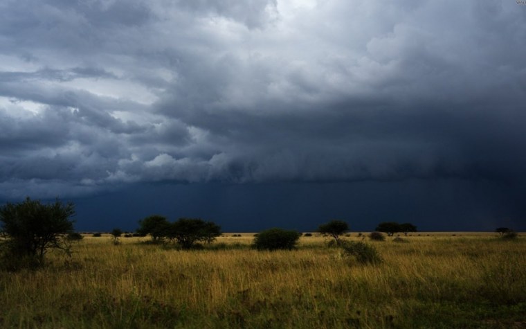 Перед дождем