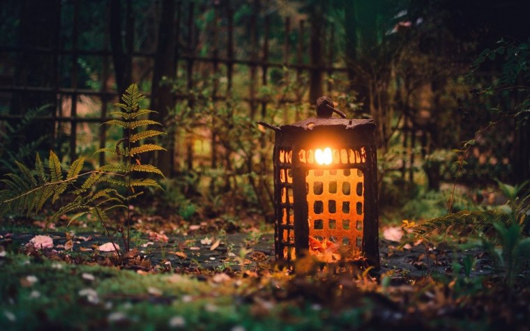 Фонарь в лесу