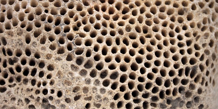 Кластерная трипофобия