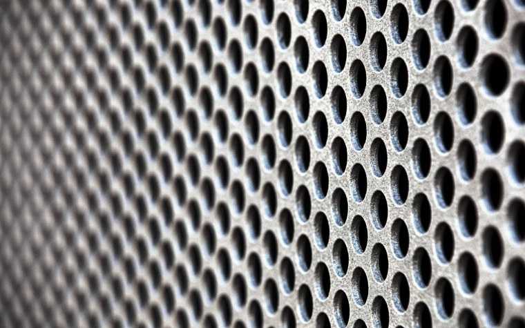 Жук Точильщик древоточец