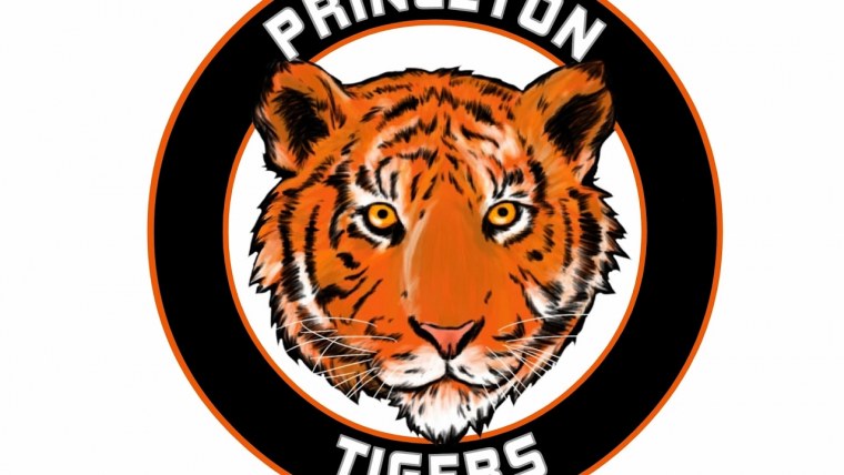 Тигр логотип