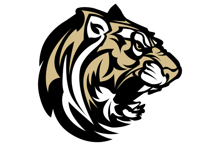 Голова тигра