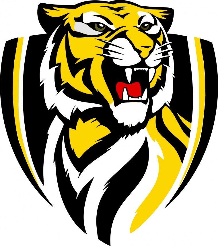 Команда тигры