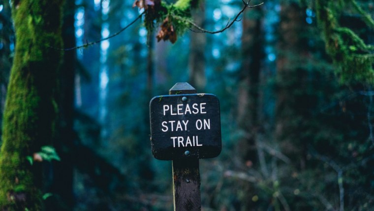 Чёрные обои на телефон модные