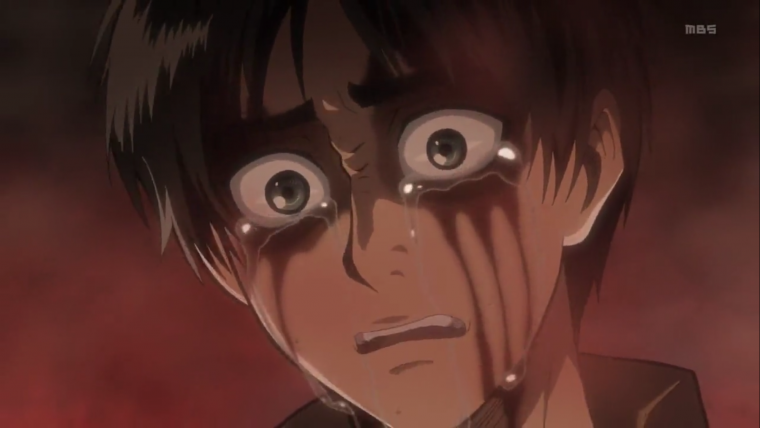 Леви Аккерман в тележке