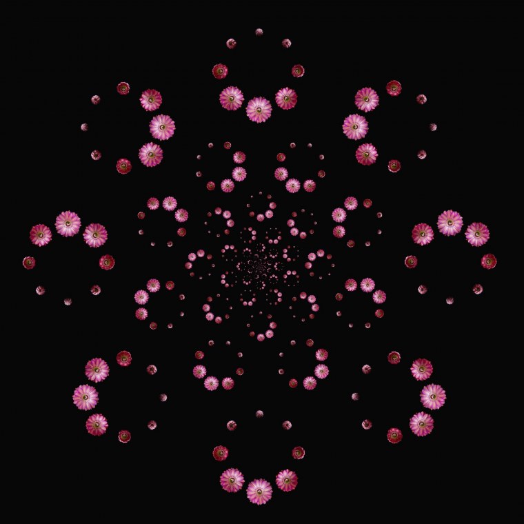 Гифки цветочки