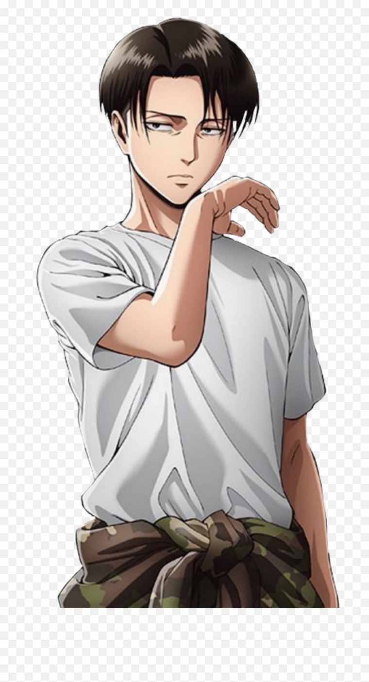 Леви Аккерман рост