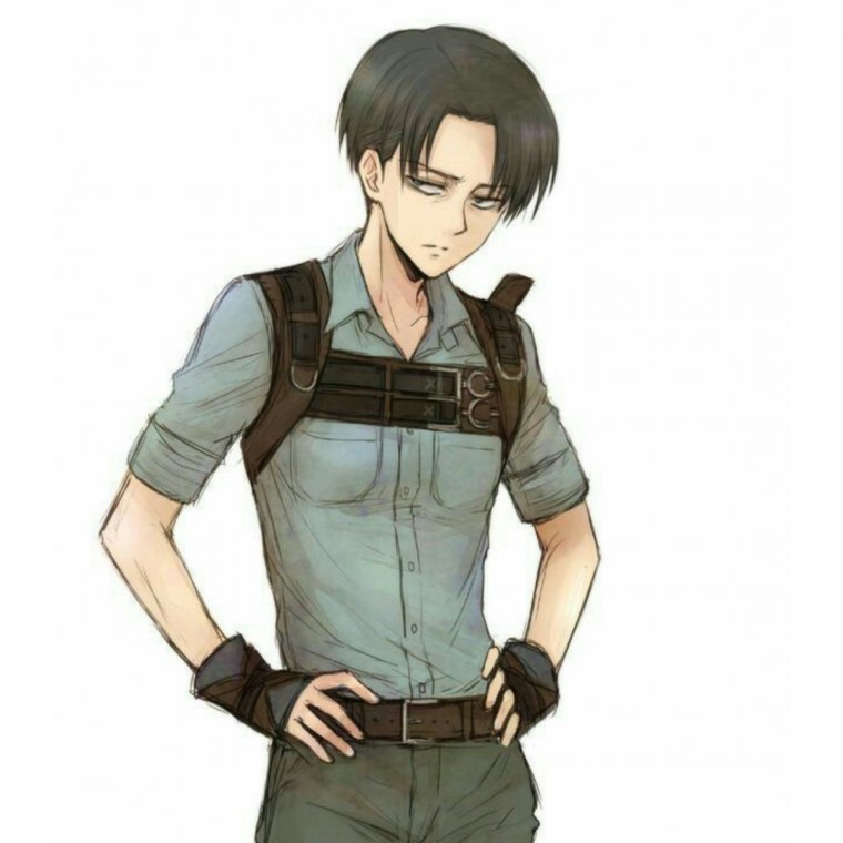 Леви Аккерман рост