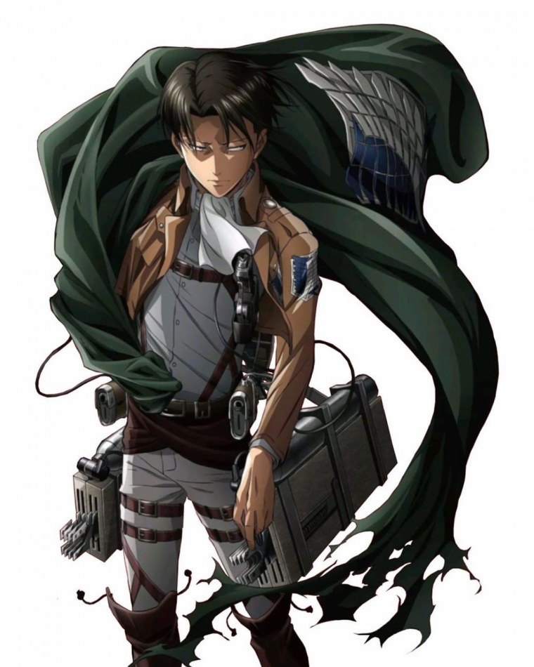 Леви Аккерман рост