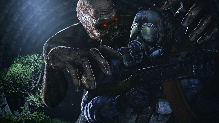 Сталкер наёмник зверь