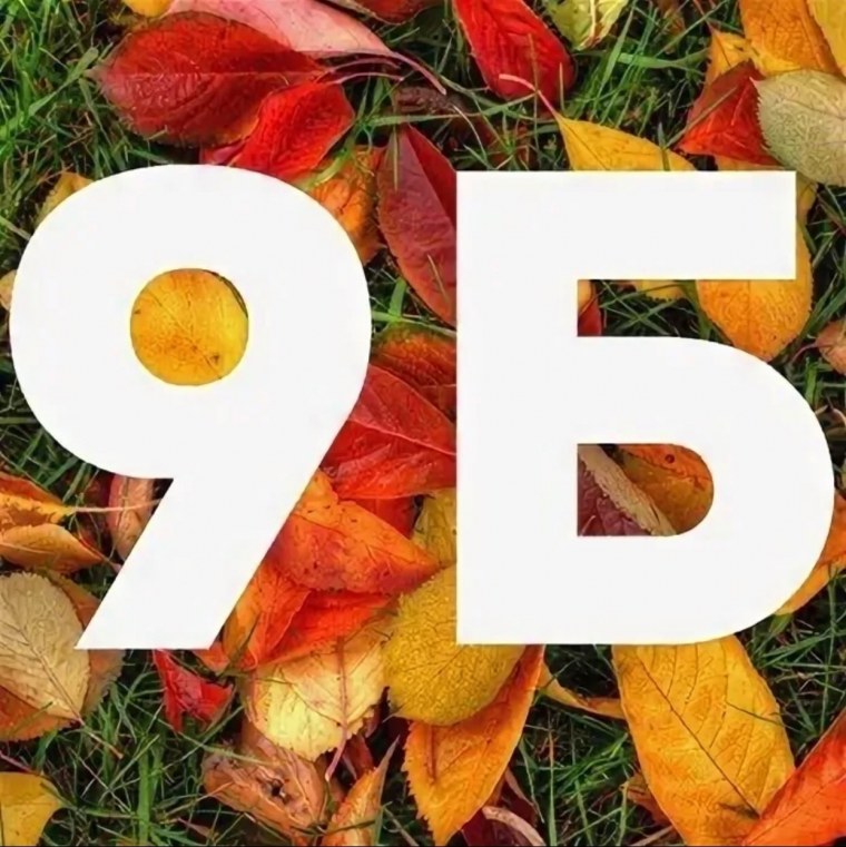 9 Б класс надпись