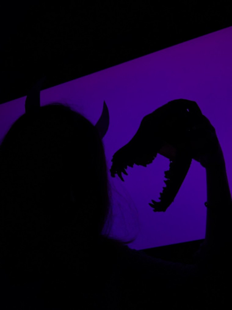 Тень девушки