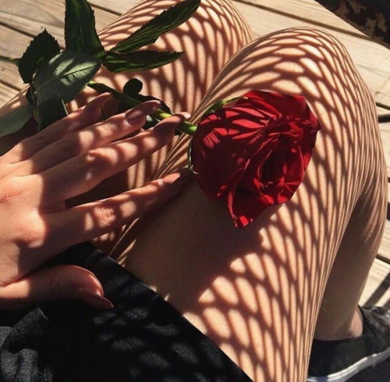 Розы сохраненки