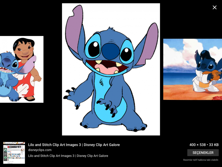 Лерой и Стич