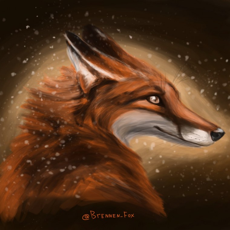 Профиль лисы