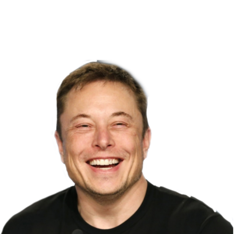 Elon Musk face
