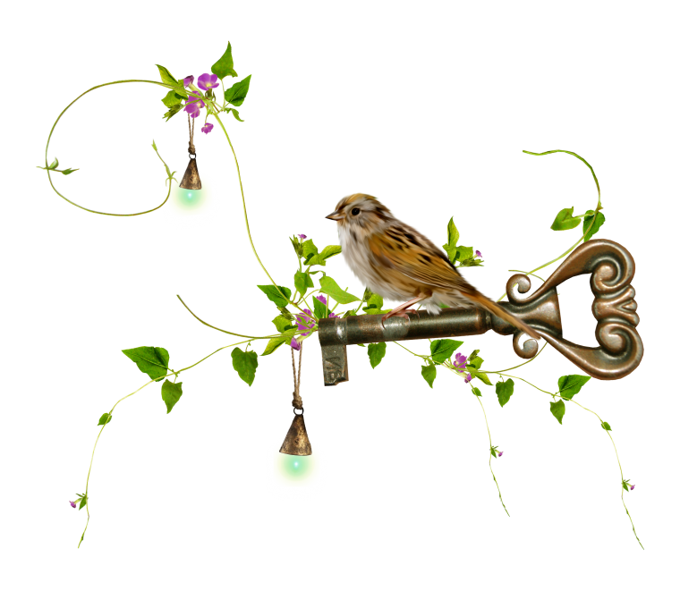 Веточки с птицами на прозрачном фоне