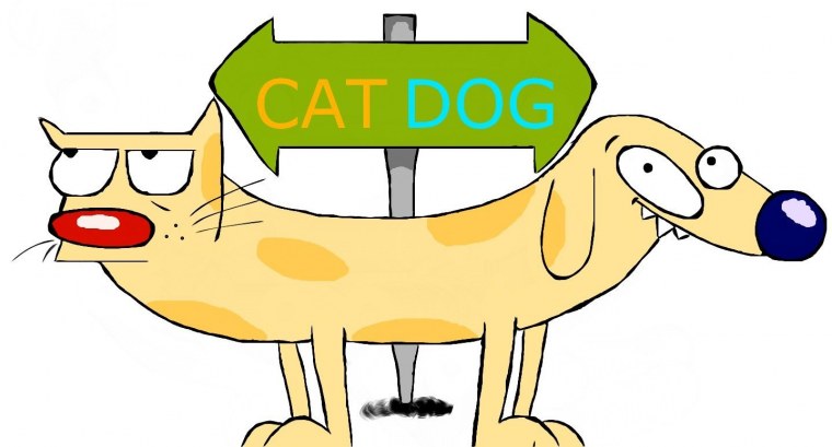 Котопес мультсериал