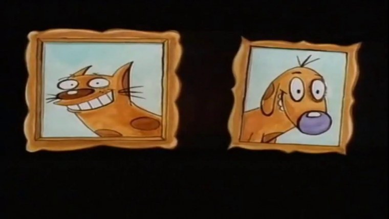 Котопес обои