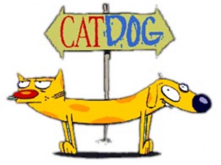 Котопес мультик Котопес