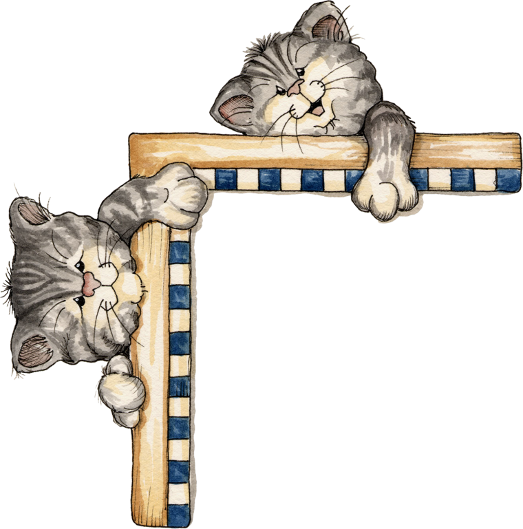 Рамки для фотографий кошки