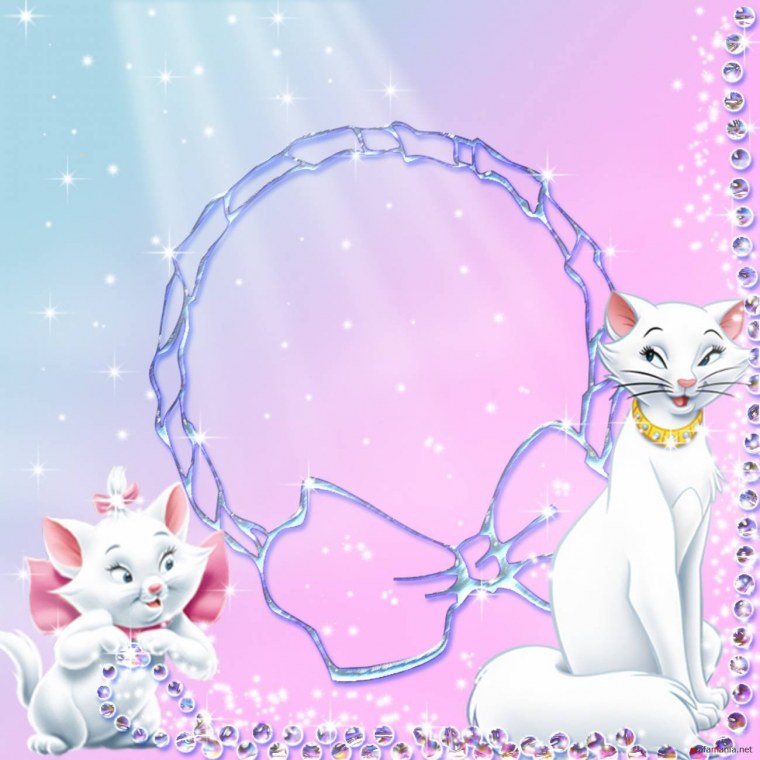 Рамка кошки