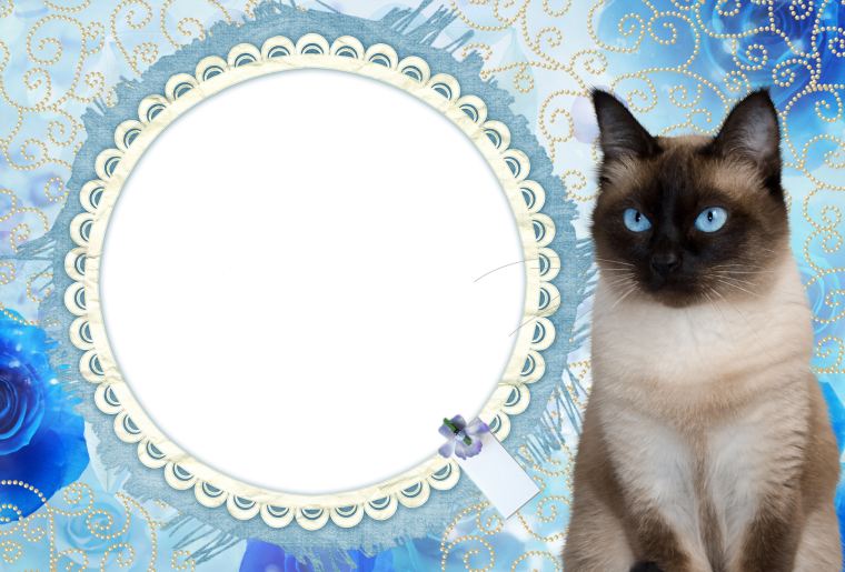 Рамки для фотошопа