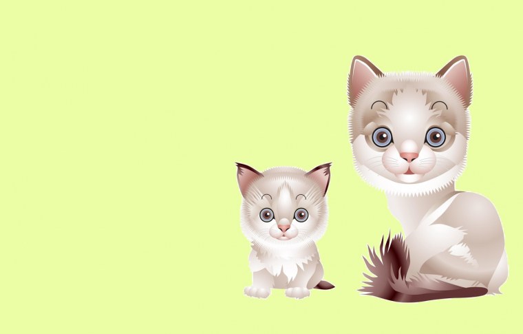 Фон с котятами