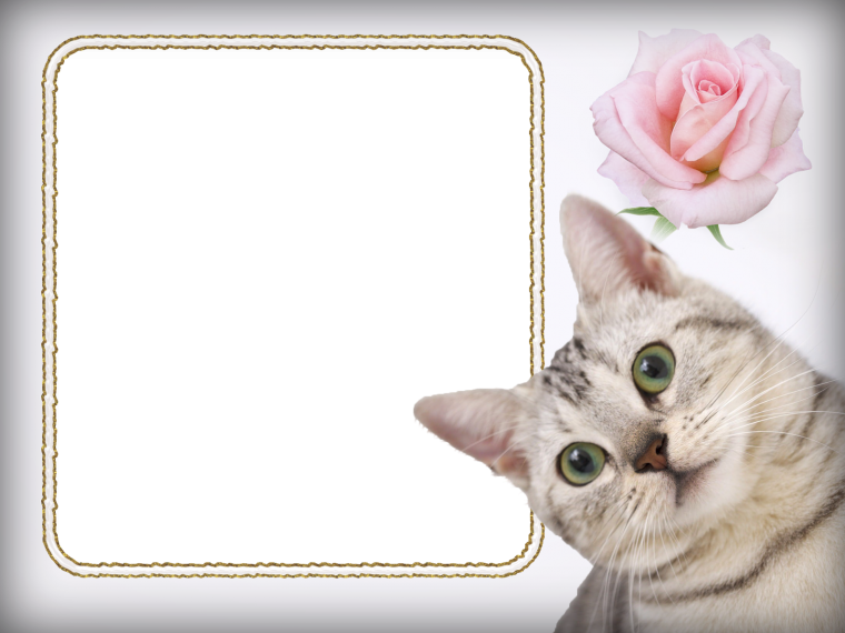 Фоторамка "кошки"