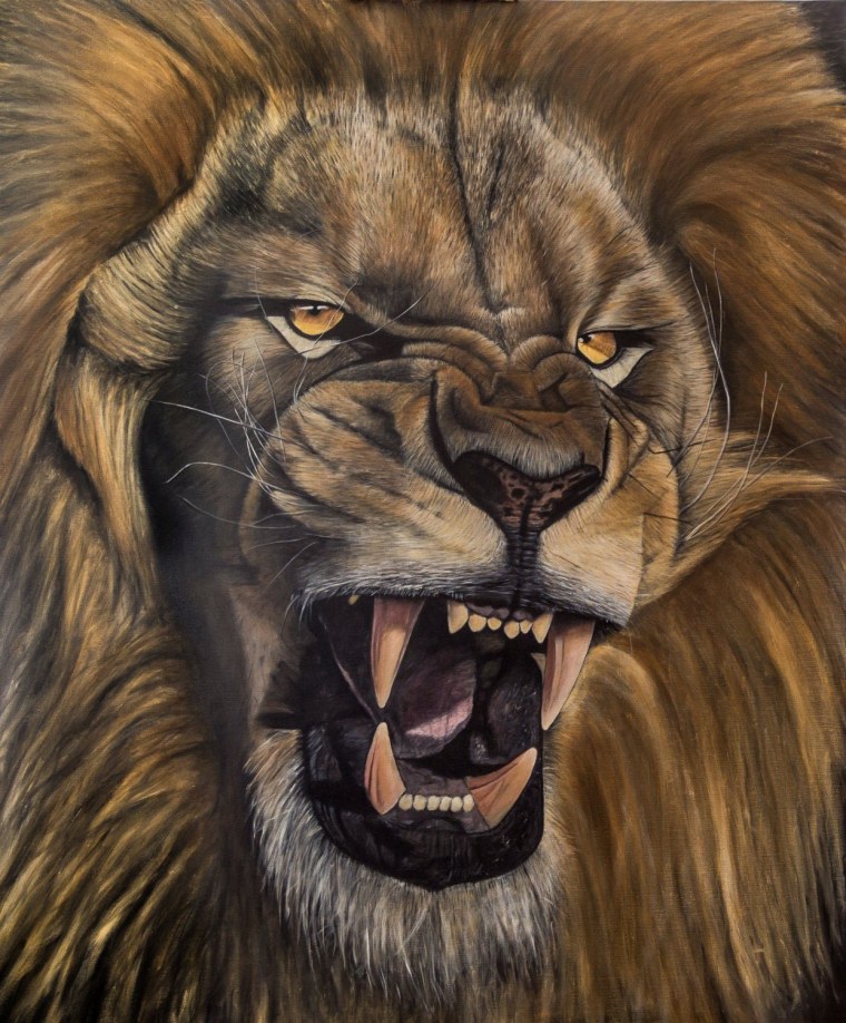 Лев злится