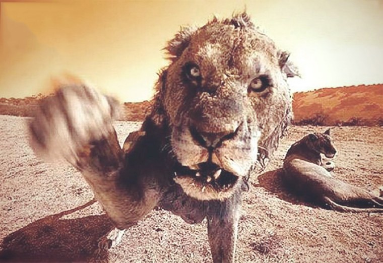 Лев мистический рисунок