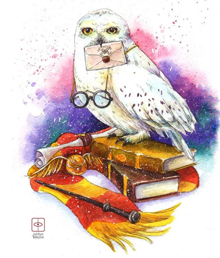 Сова Букля (Гарри Поттер)