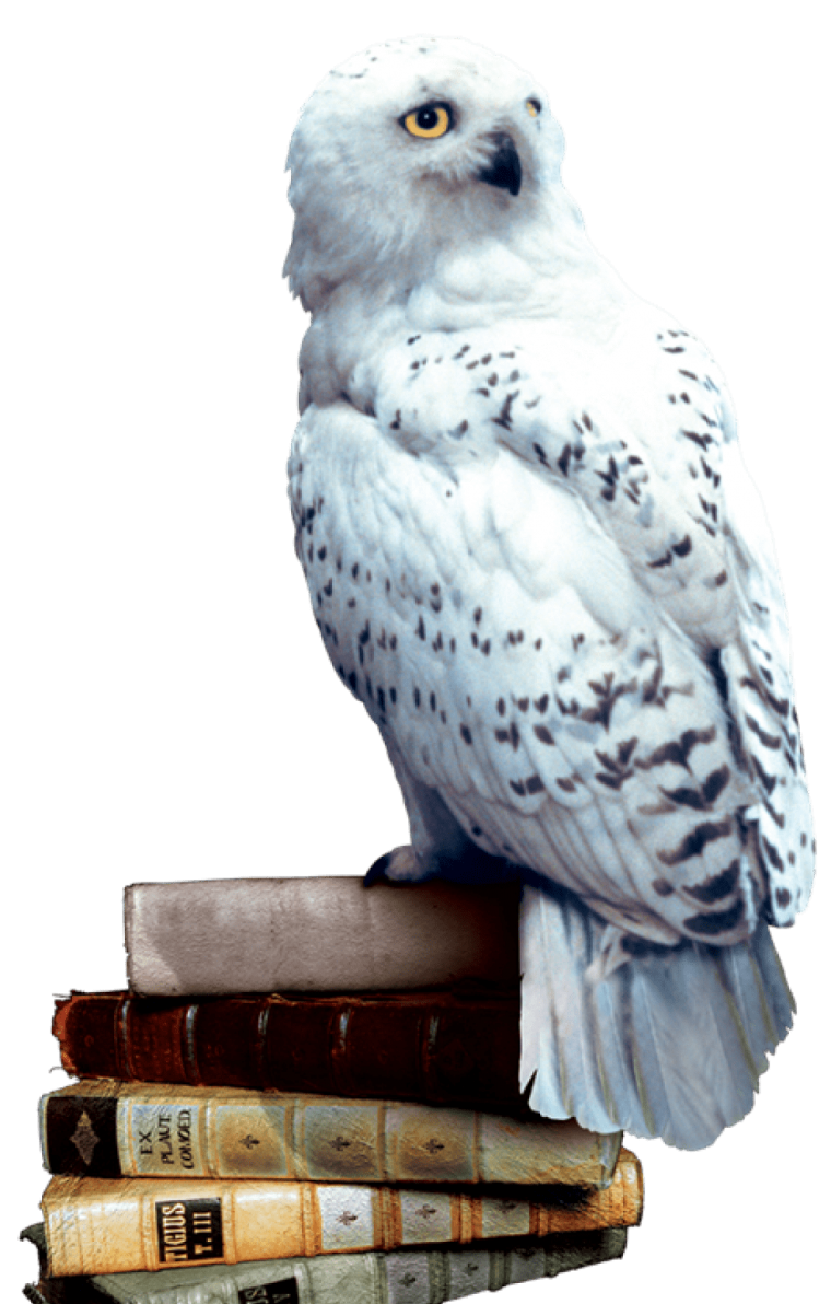Сова Гарри Поттера