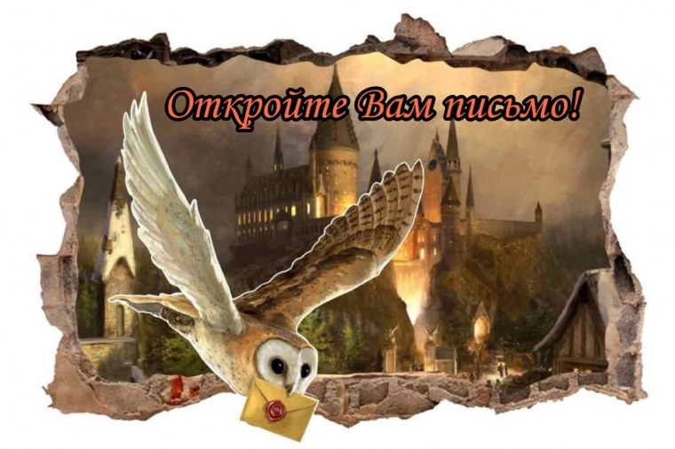 Пикседбгая Сова Гарри Поттер