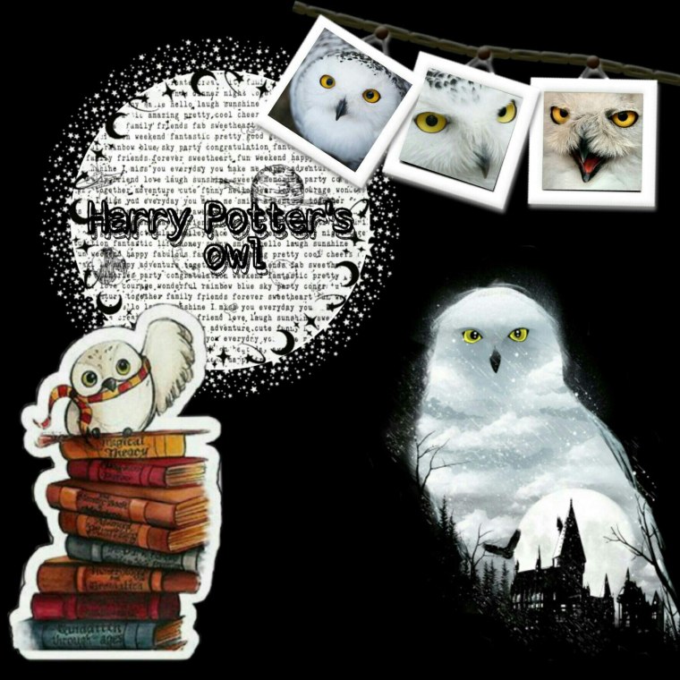 Сова Букля из Гарри Поттера