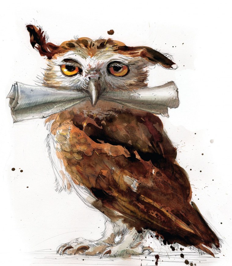 Сова Букля (Гарри Поттер)