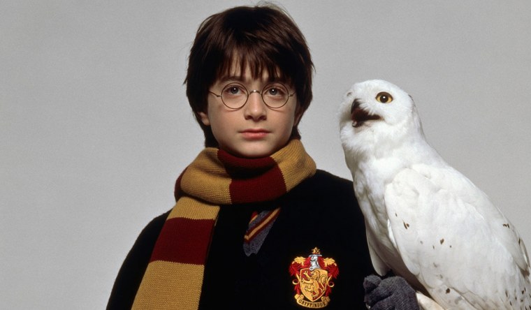 Сова Букля из Гарри Поттера