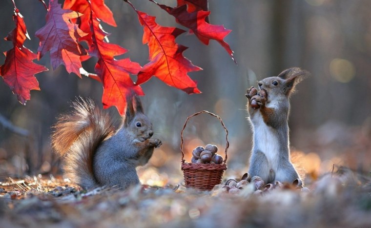 Вадим Трунов фотограф