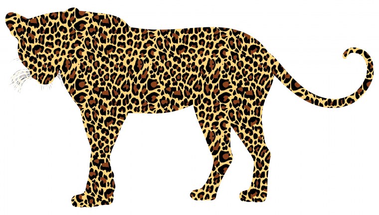 Леопард для детей