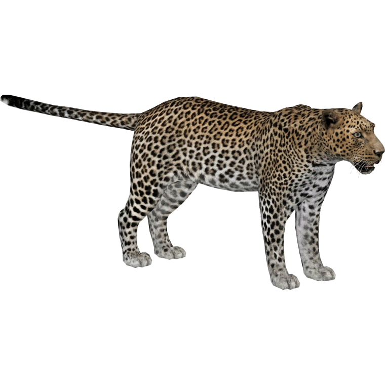 Трафарет леопарда для вырезания