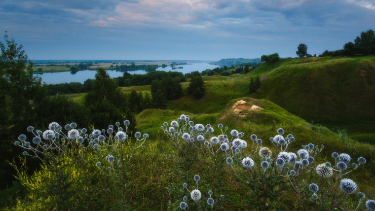 Константиново Рязанская Губерния природа