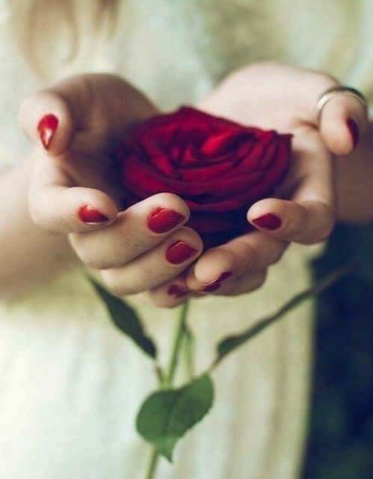 Роза в руке на аву