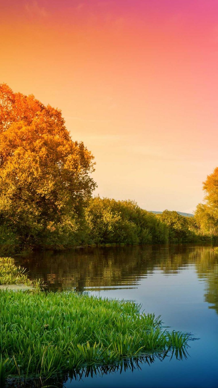 ZTE заставка