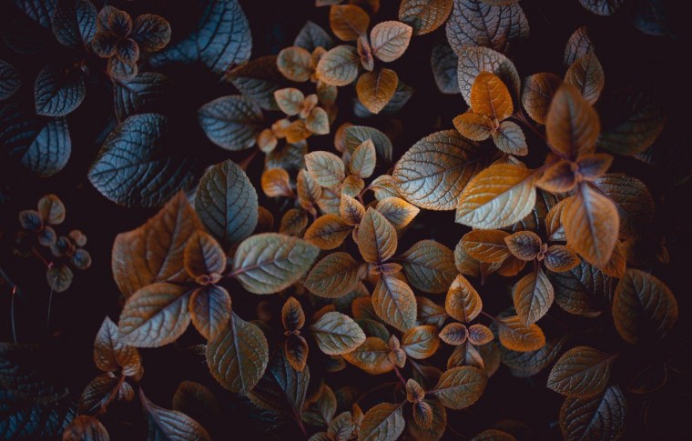 Коричневый фон Эстетика