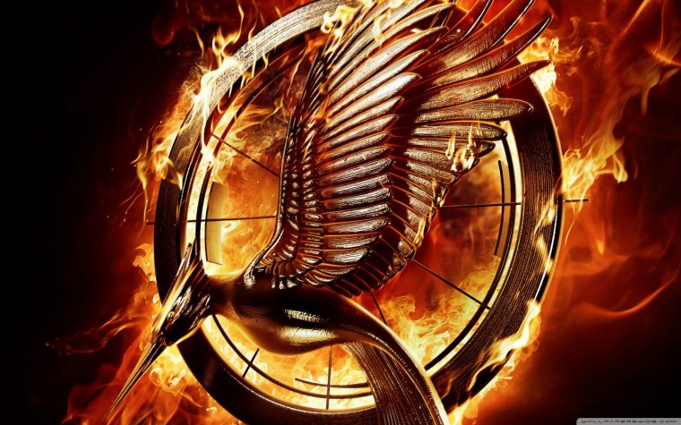 Сойка пересмешница 4